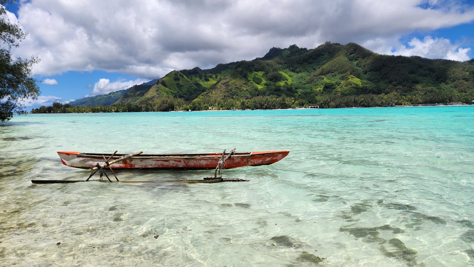 Vue de Moorea — Green Lodge, pension de famille